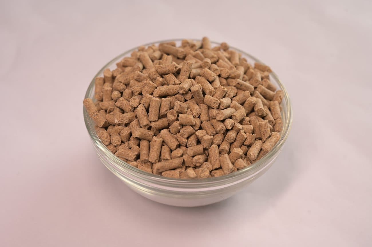 Cattle Feed