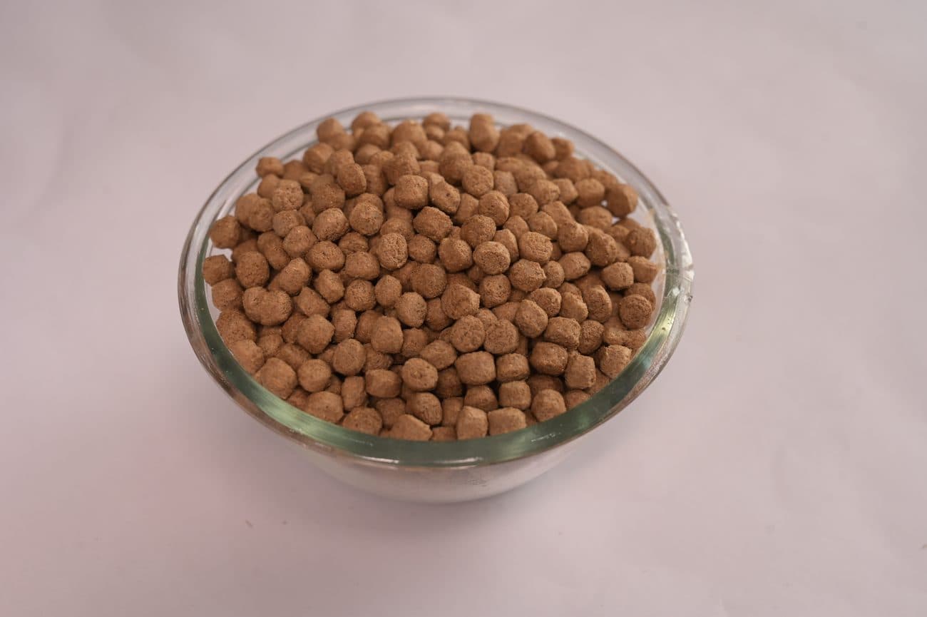 Floating Fish Feed