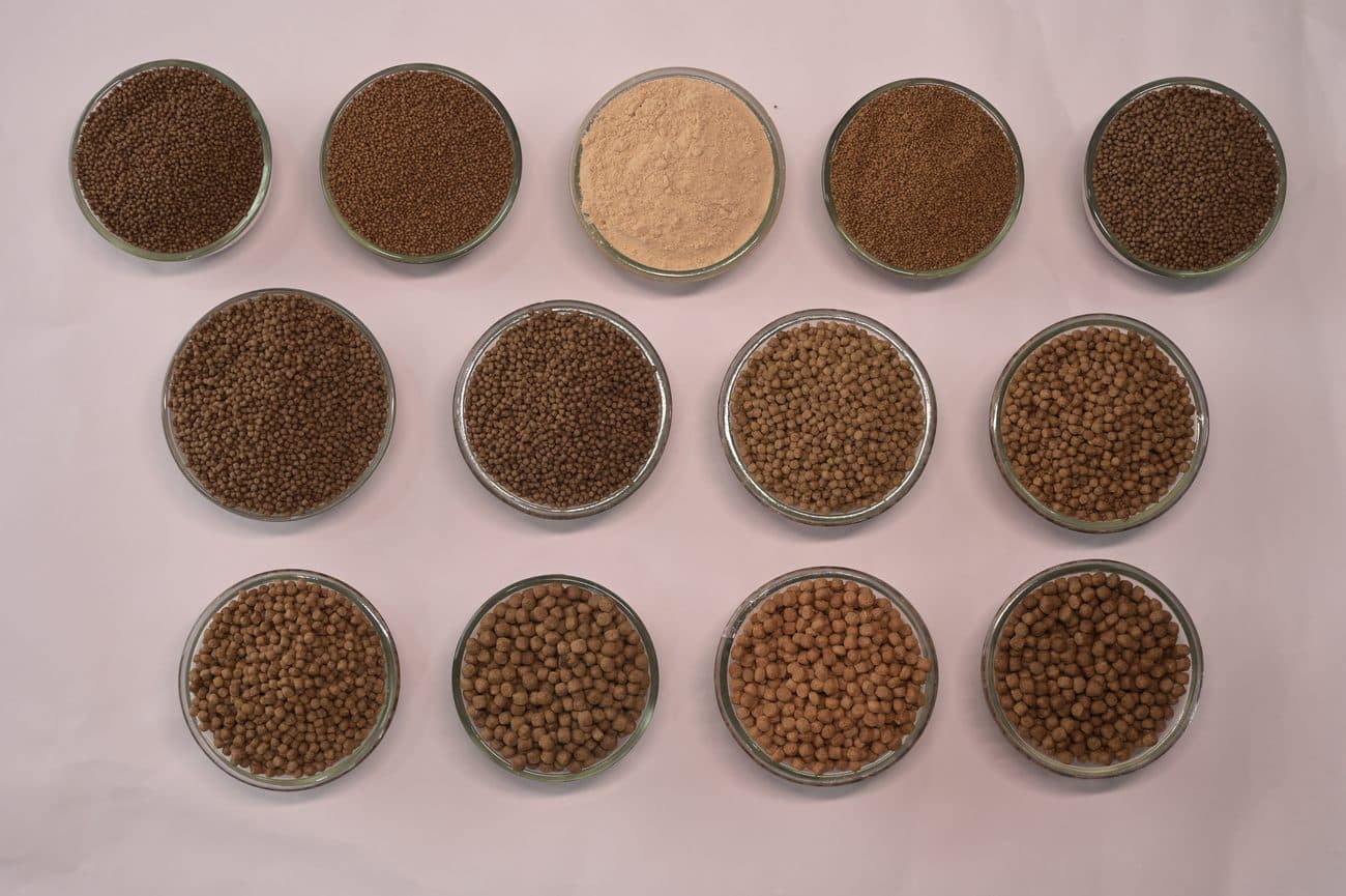 Mirrambika Premium Floating Fish Feed
